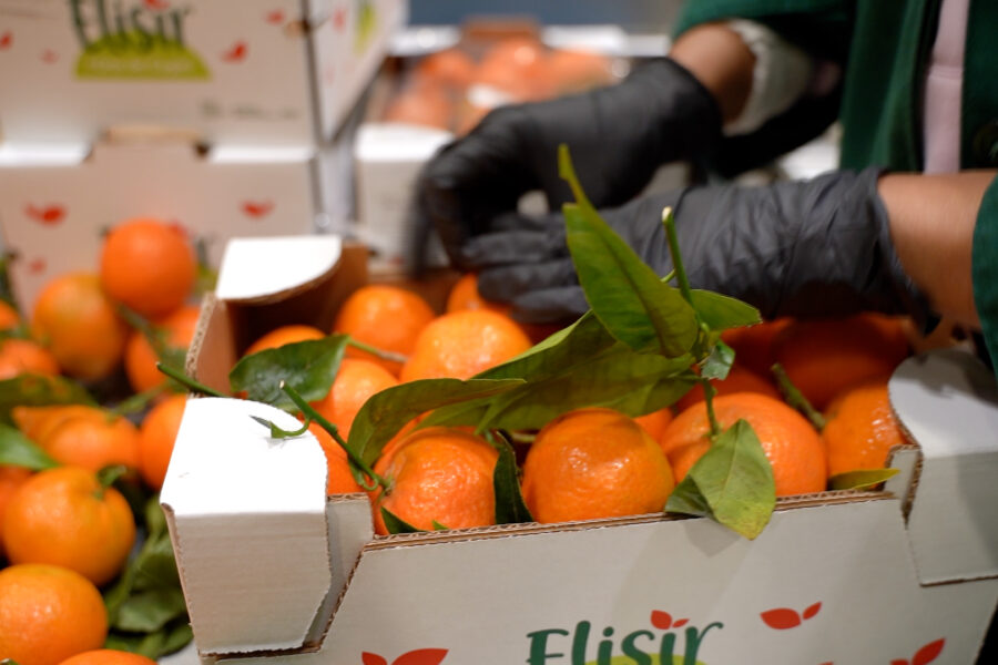 Programmazione, Certificazioni e Tracciabilità per garantire la freschezza in tavola