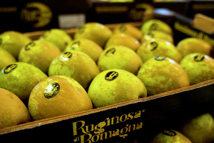 La Mela Rugginosa di Romagna: il gusto della tradizione